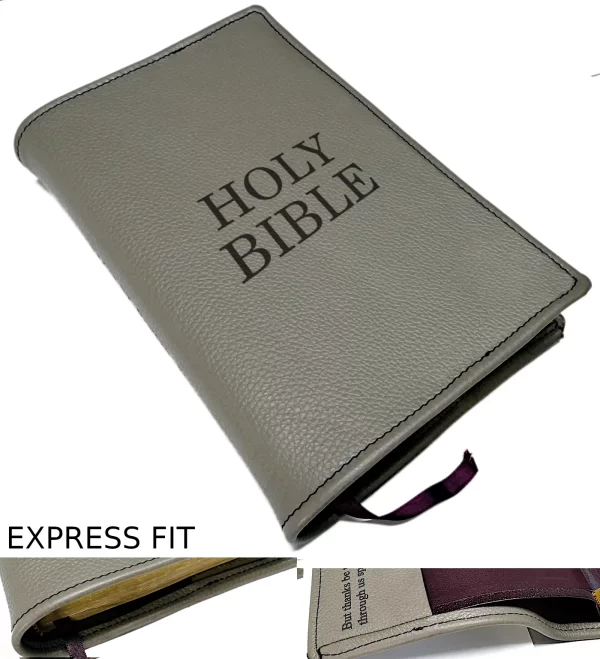 HOLY BIBLE Express